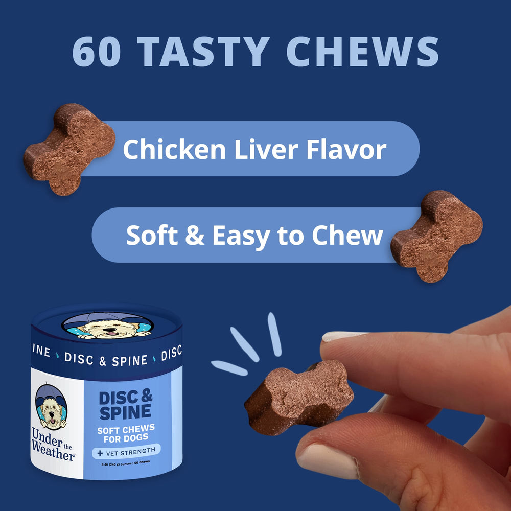 Under The Weather Disc & Spine Chews chicken flavor close-up for tasty daily dose.