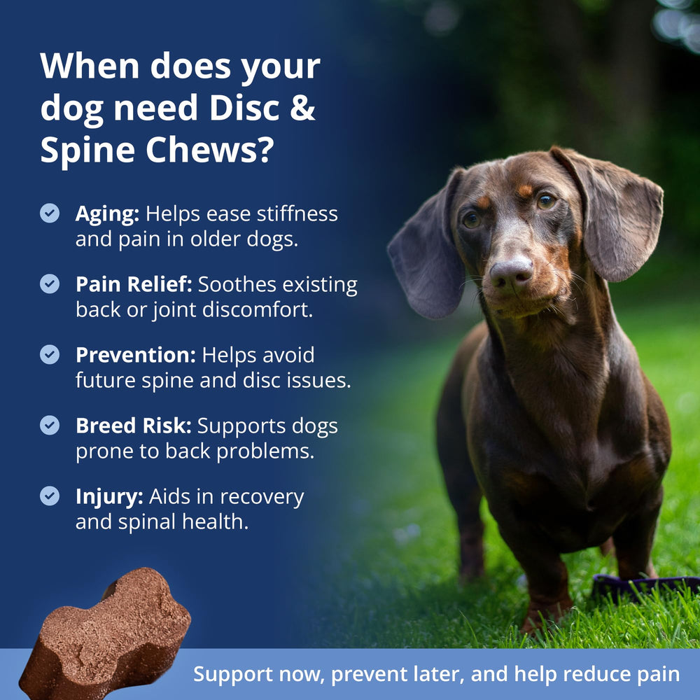 Under The Weather Disc & Spine Chews ingredients: chondroitin, MSM, turmeric.