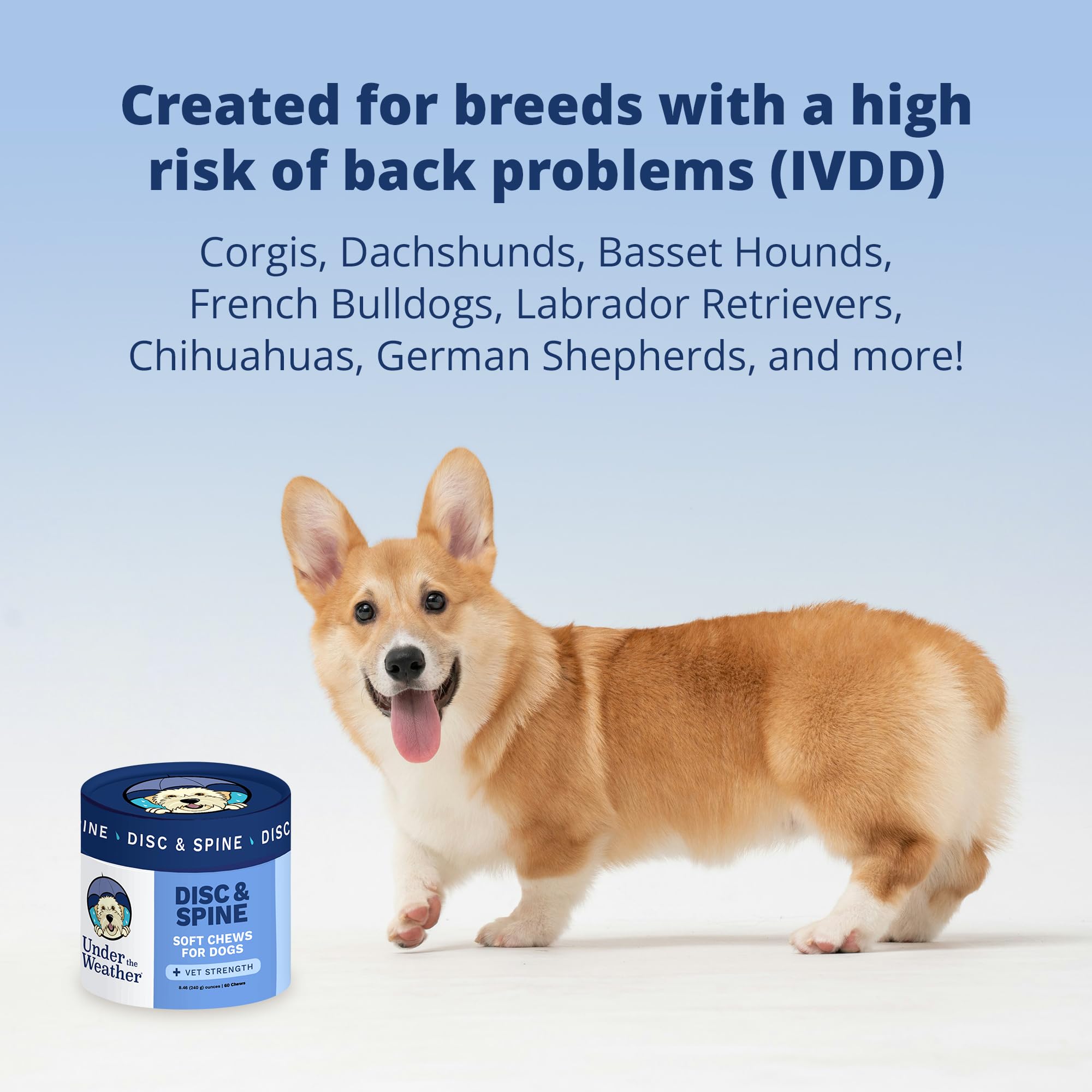 Dog with a long back using Under The Weather chews for back support.