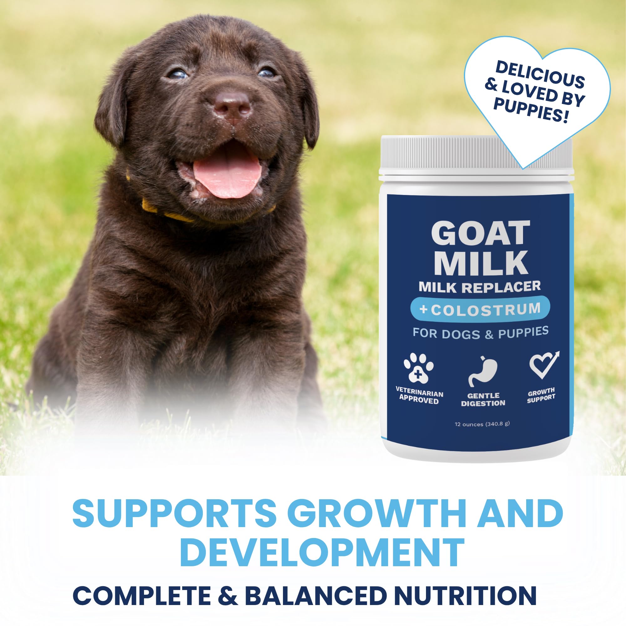 Under the Weather Goat Milk powder for dogs supports gentle digestion.
