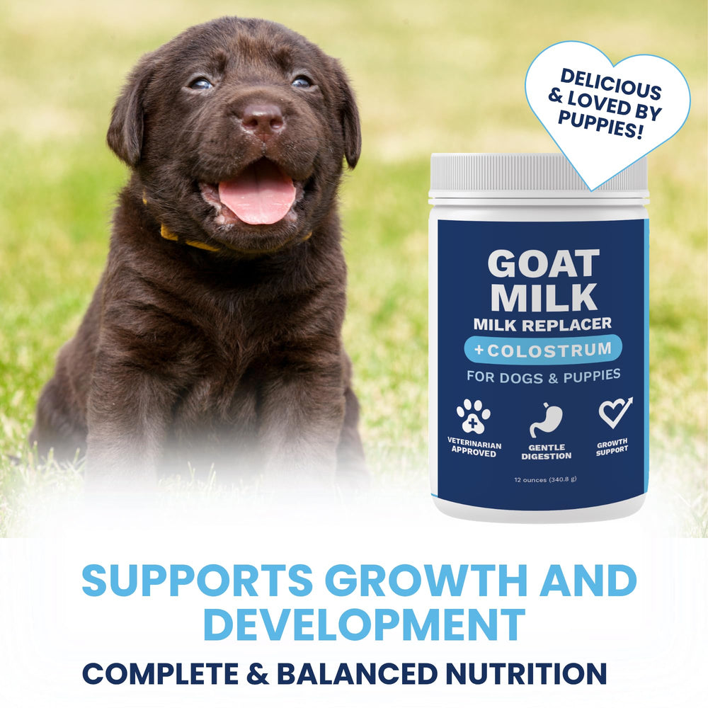Under the Weather Goat Milk powder for dogs supports gentle digestion.
