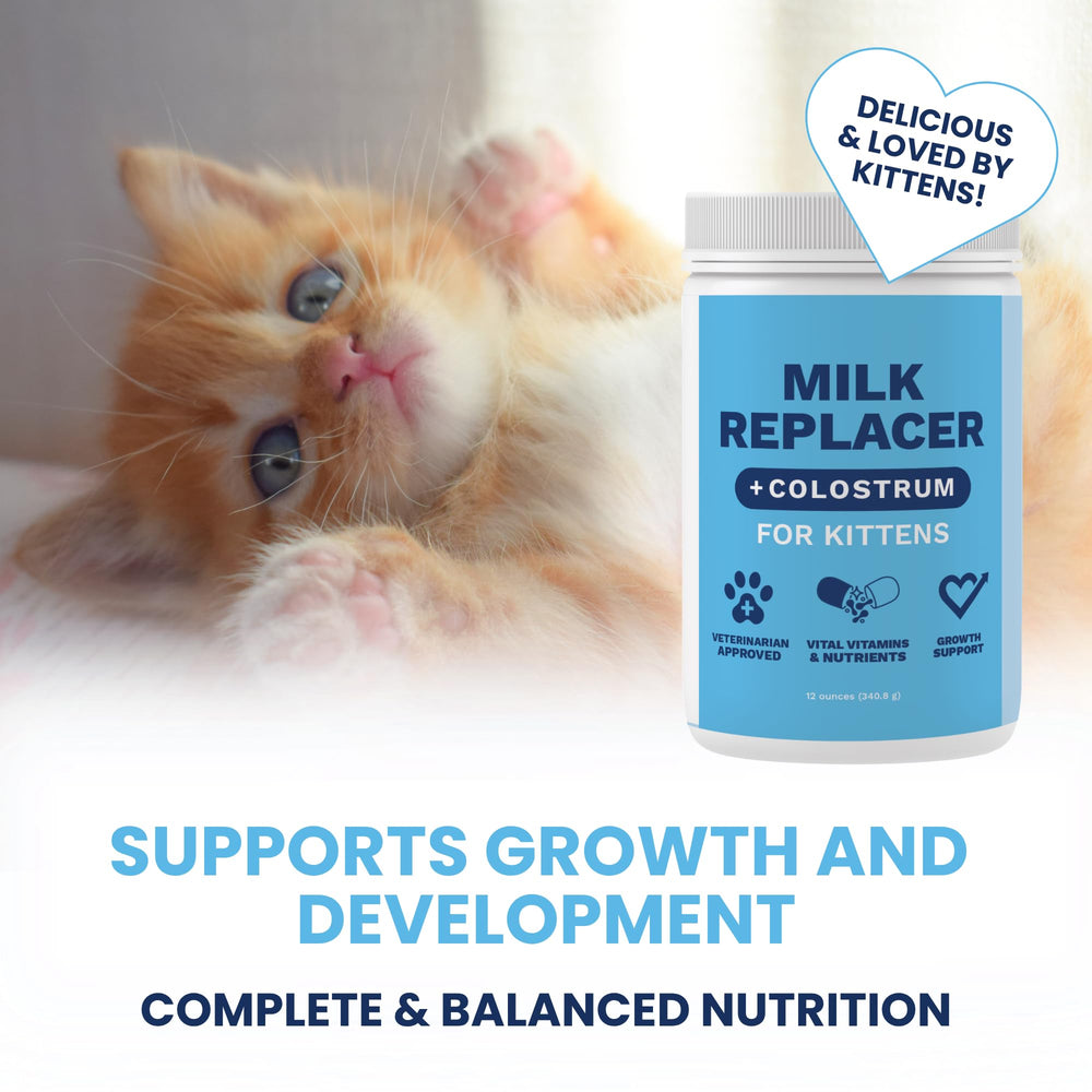 Under the Weather kitten milk replacer colostrum ingredient supports early immune development.