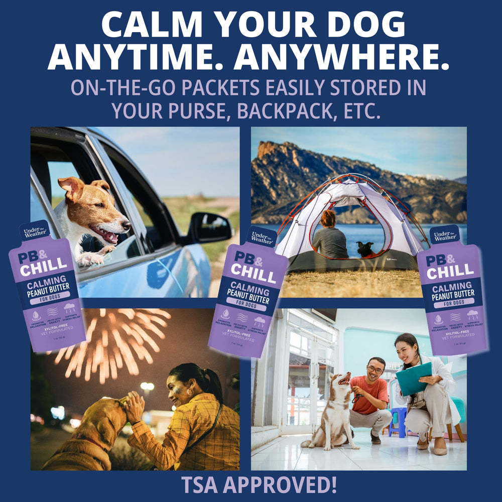 Vet-formulated Under the Weather PB & CHILL dog treats for stress relief moments