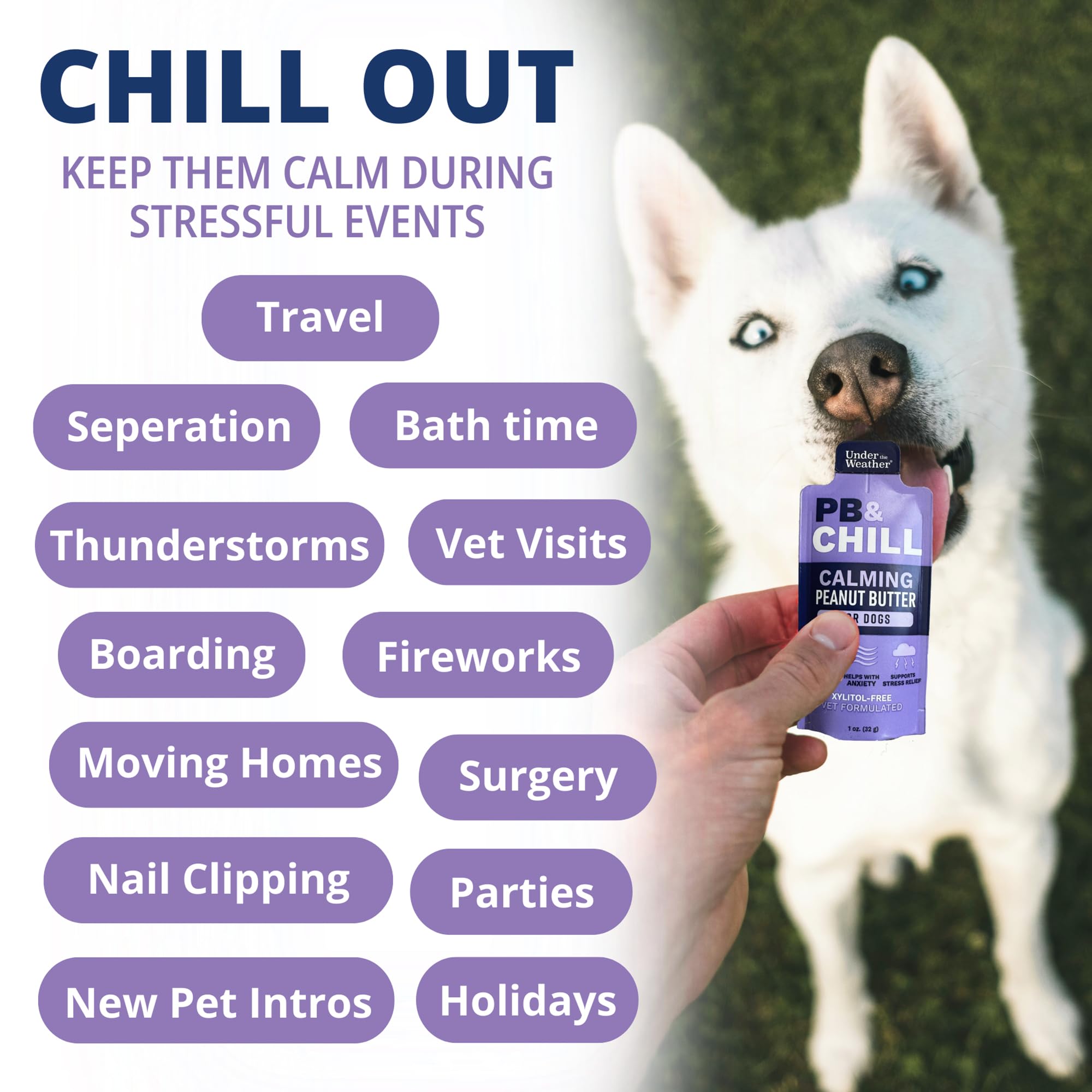 USA-made Under the Weather PB & CHILL dog treats for peace of mind