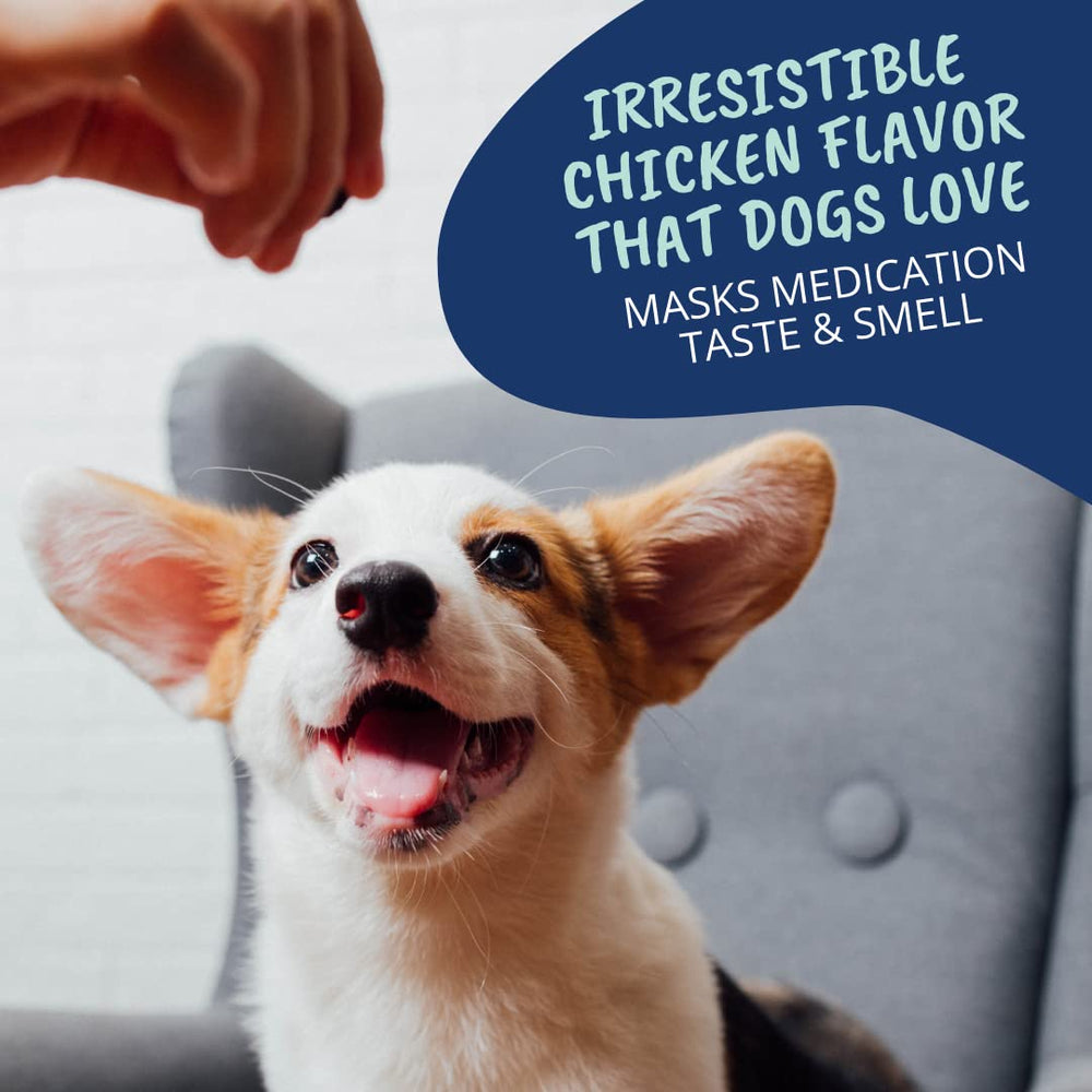 Dog happily accepts the wrapped treat during medicine time.