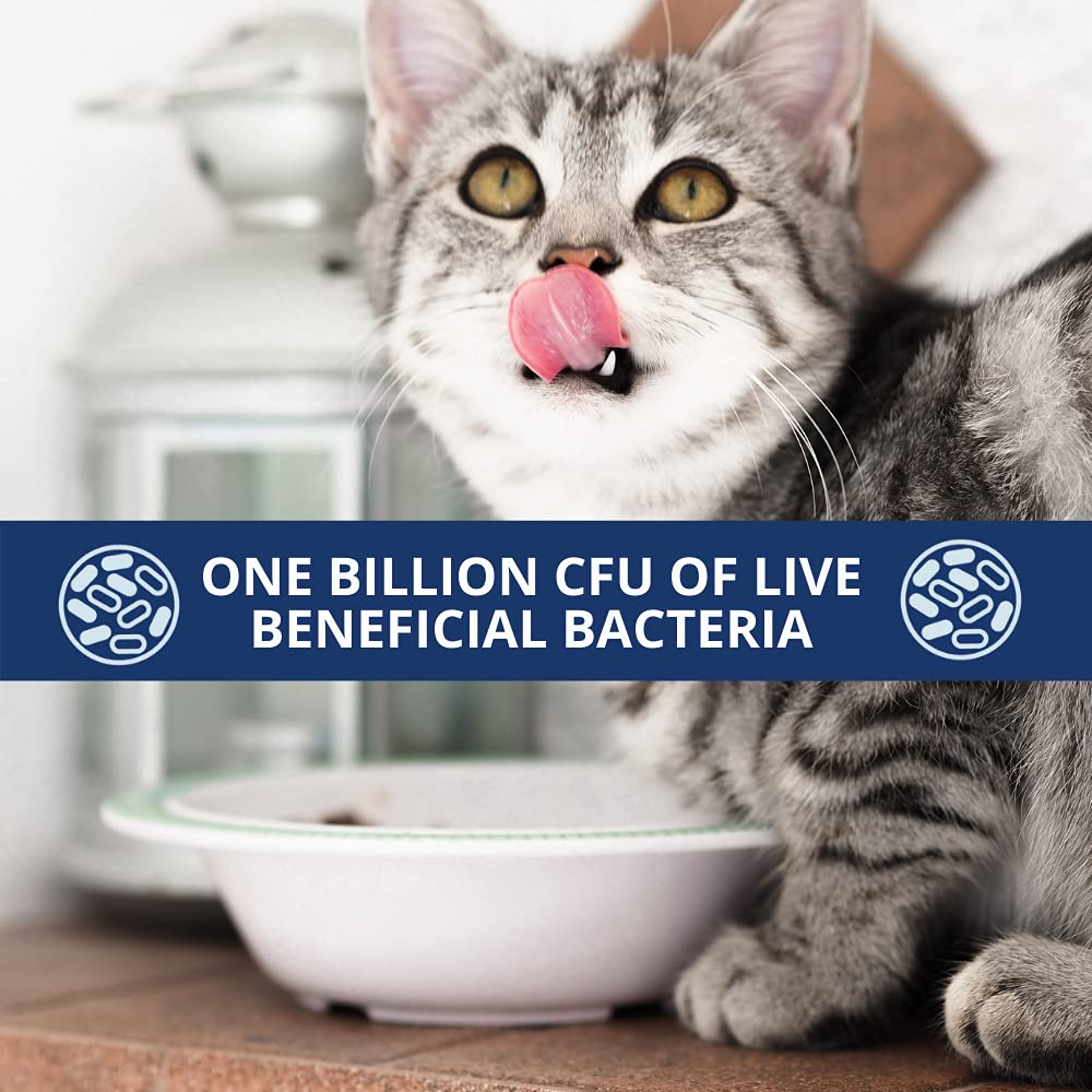 Under the Weather Pet Probiotics Powder poured into a cat dish.