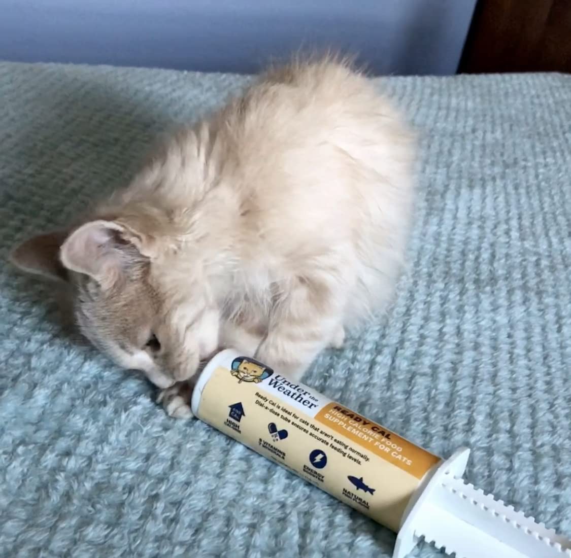 Under the Weather Ready Cal for Kitten ingredient list reassures caregivers on contents.