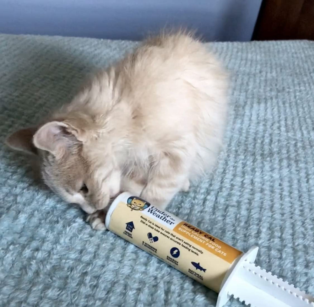 Under the Weather Ready Cal for Kitten ingredient list reassures caregivers on contents.
