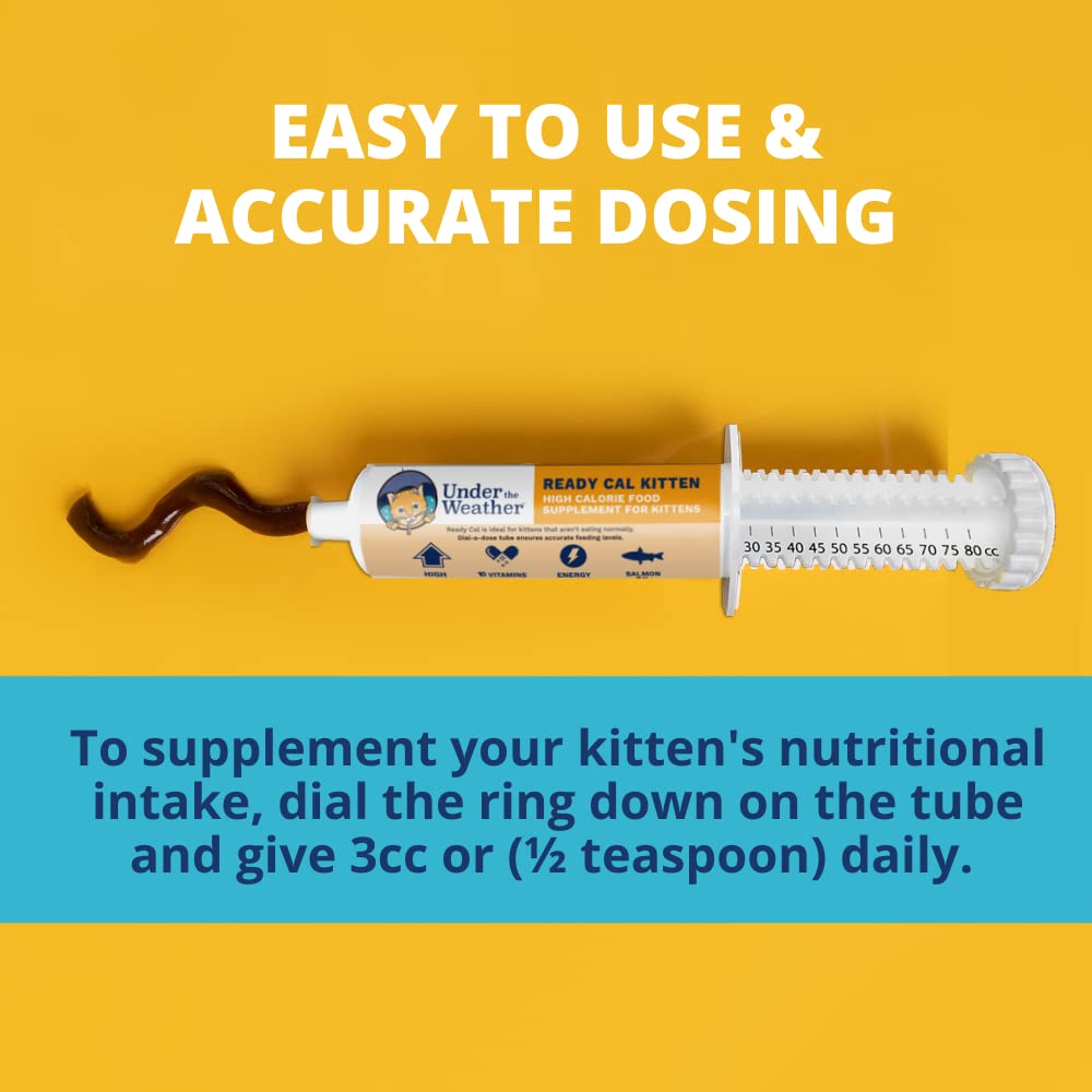 Under the Weather Ready Cal for Kitten label design aids quick recognition.