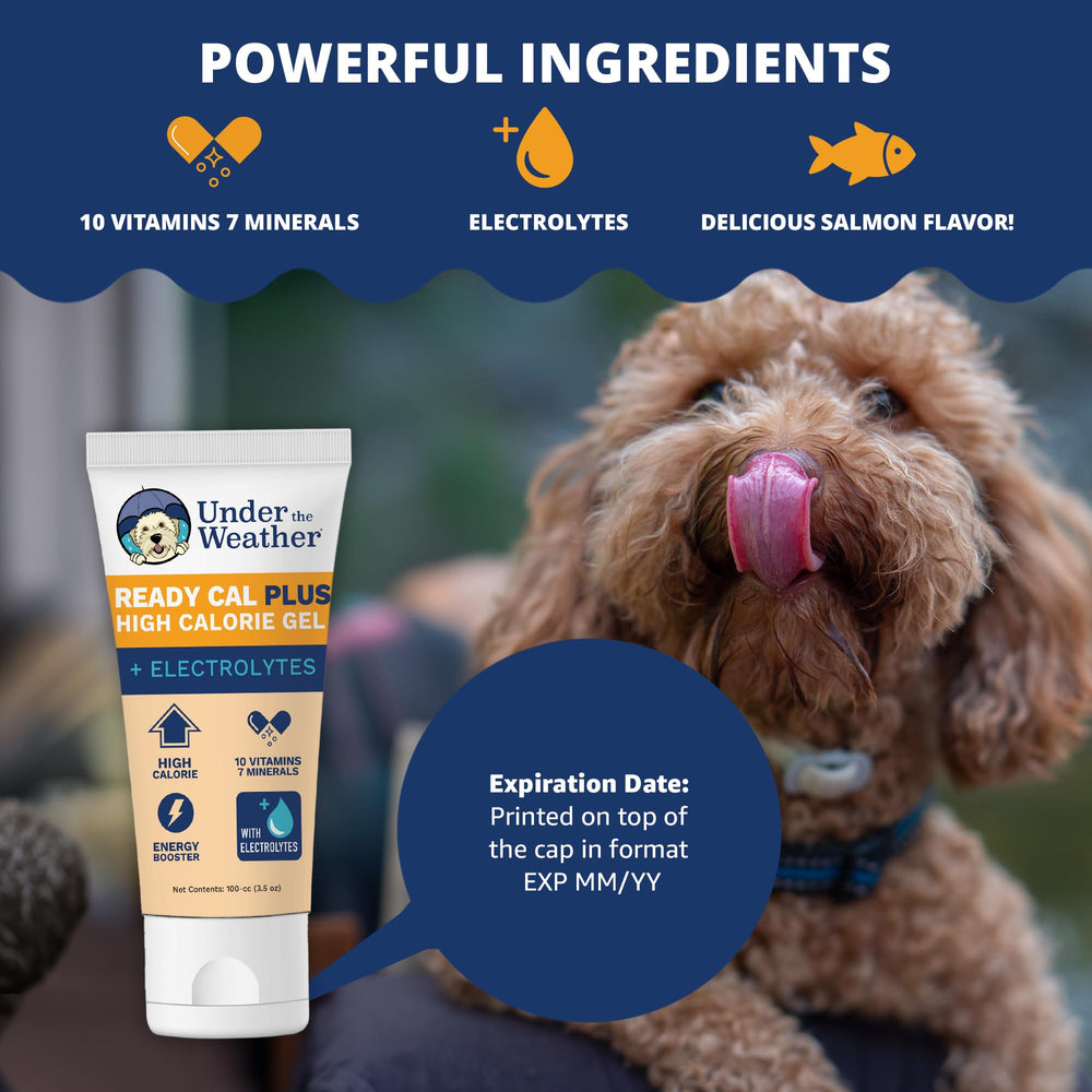 Gel directly dosed into a dog's mouth for easy feeding.