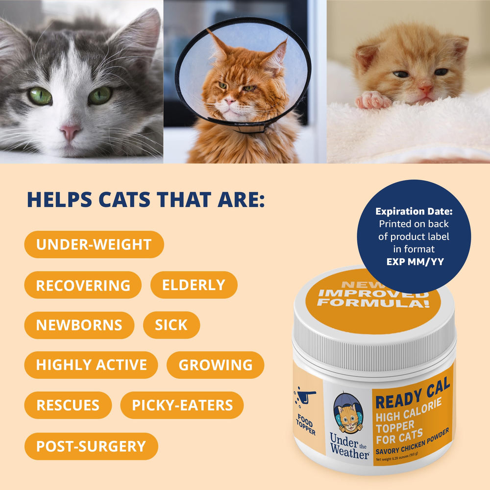 Under the Weather Ready Cal powder ingredients highlight vitamins and minerals for overall vitality.
