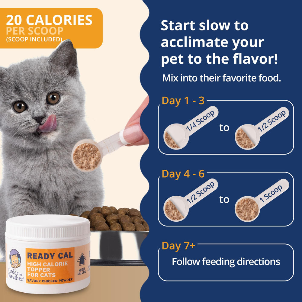 Under the Weather Ready Cal powder pour shows quick mixing for a flavorful chicken boost.