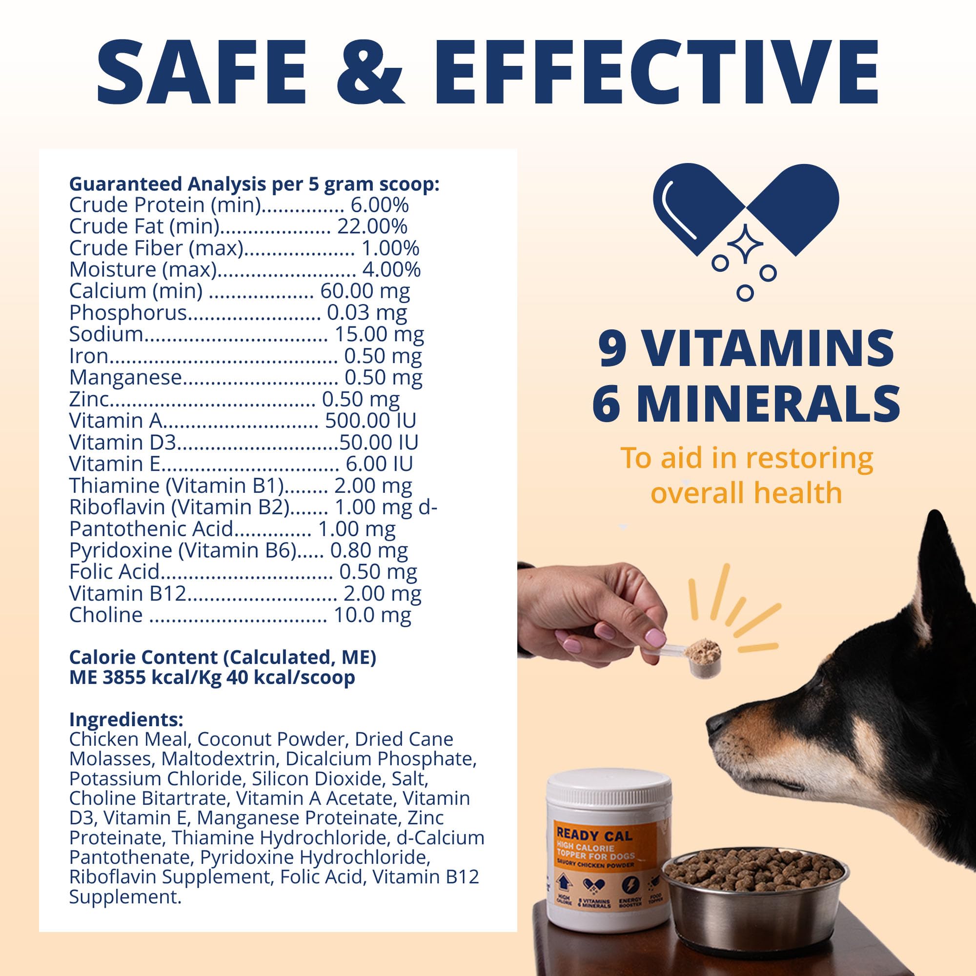 Under the Weather Ready Cal Powder in a bowl with dog meal demonstrates appetite support