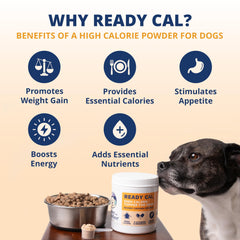 Under the Weather Ready Cal Powder scoop illustrates easy daily dosing for weight support
