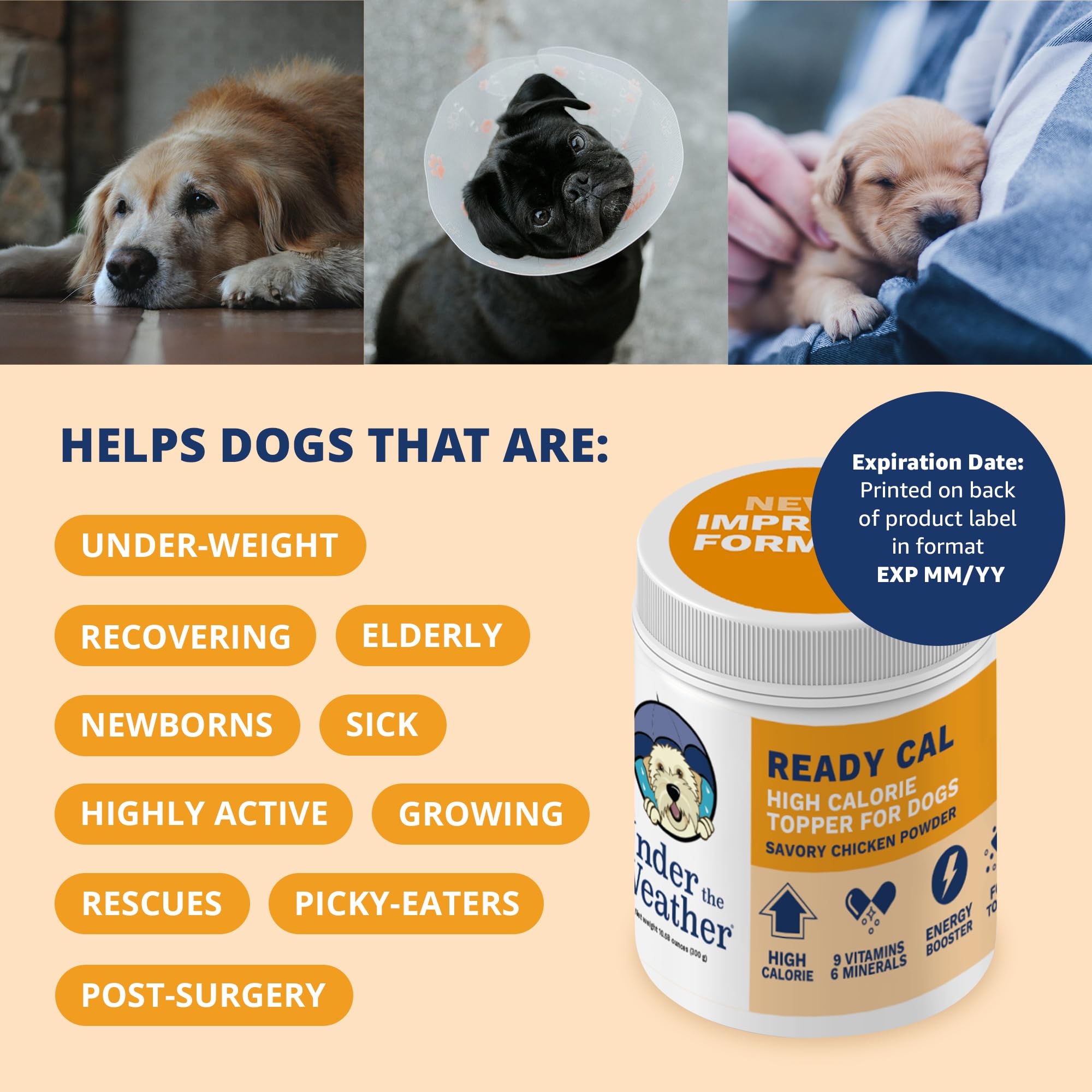 Under the Weather Ready Cal Powder gravy mix creates a savory sauce your dog enjoys