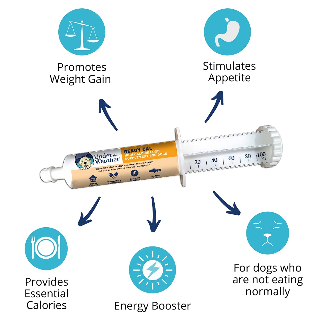 Under the Weather Ready Cal weight-gain focus supports healthier body condition in dogs.
