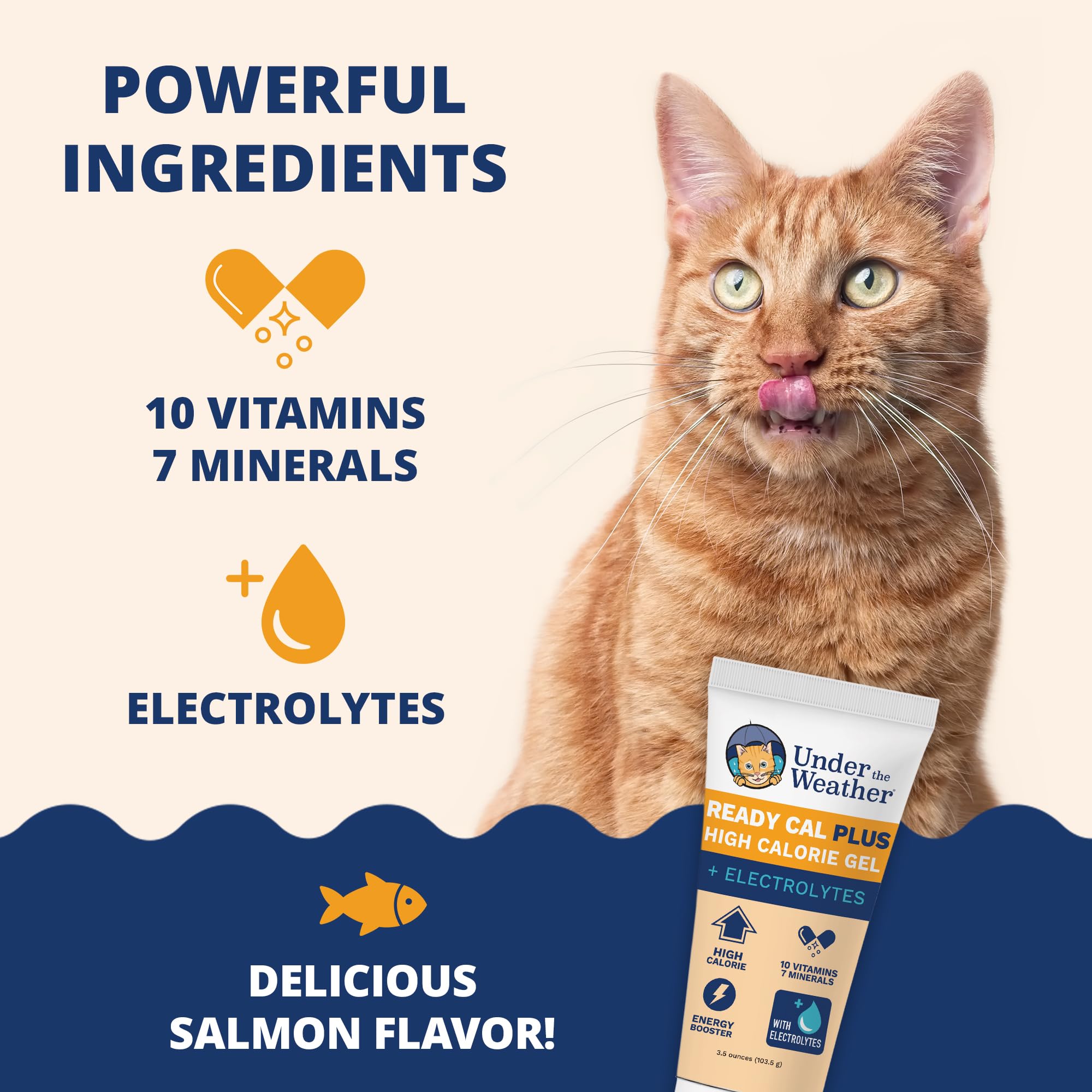 Under the Weather vet-formulated cat supplement label visible