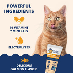 Under the Weather vet-formulated cat supplement label visible