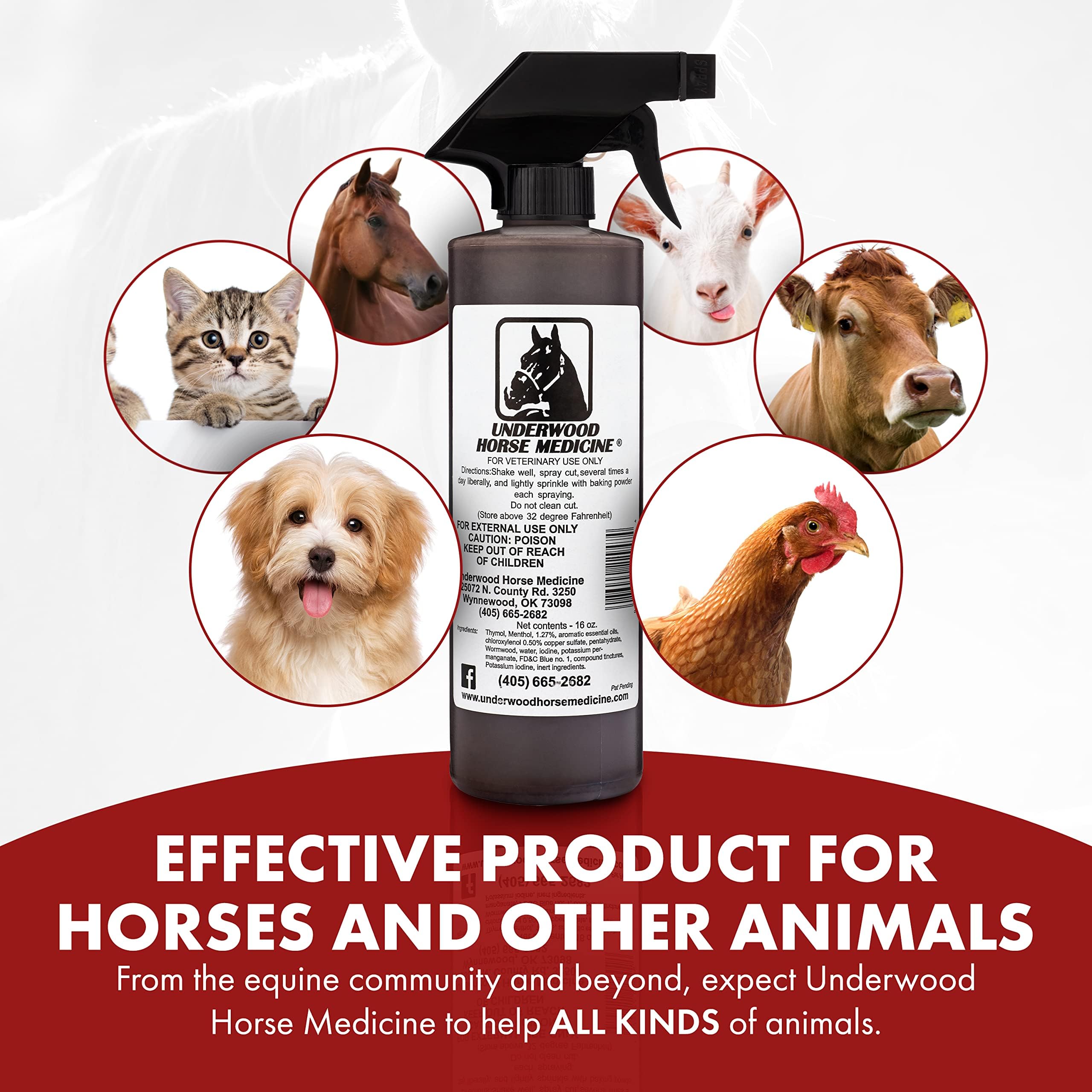 Applying Underwood Wound Care on a horse wound, quick coverage