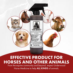 Applying Underwood Wound Care on a horse wound, quick coverage