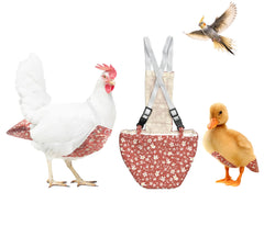 Uni Infinity chicken diaper with secure buckle strap for stable fit