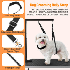 Uni PNR dog restraint loop on stainless clamp demonstrates durability.