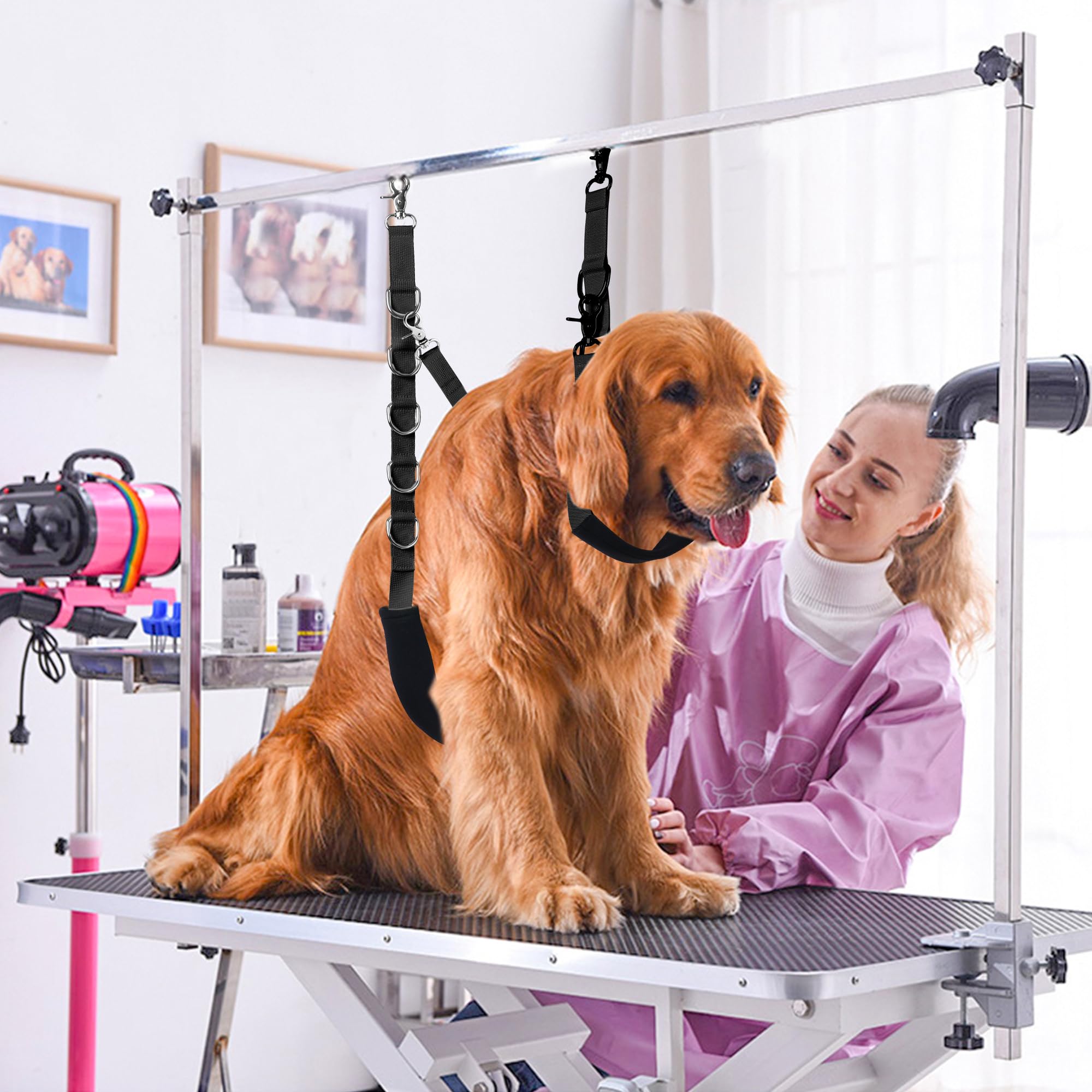 Uni PNR home grooming setup suitable for small to medium dogs.