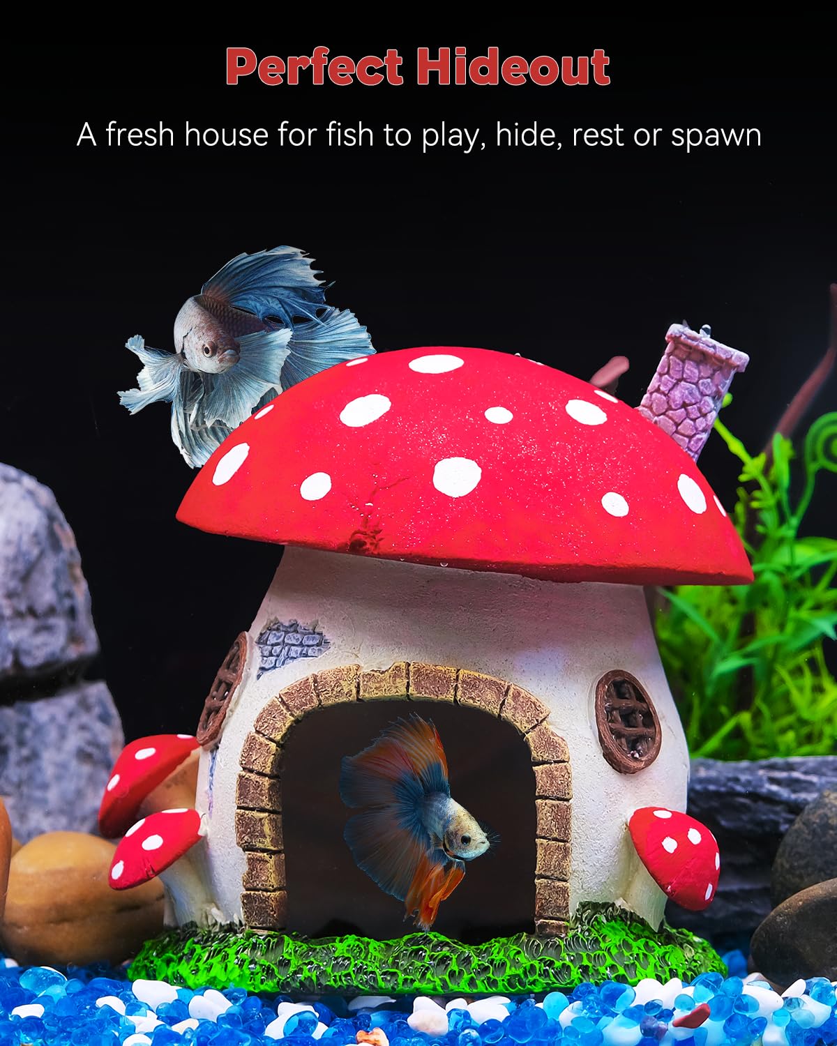 Uniclife Mushroom House door detail shows cozy entry for small inhabitants.