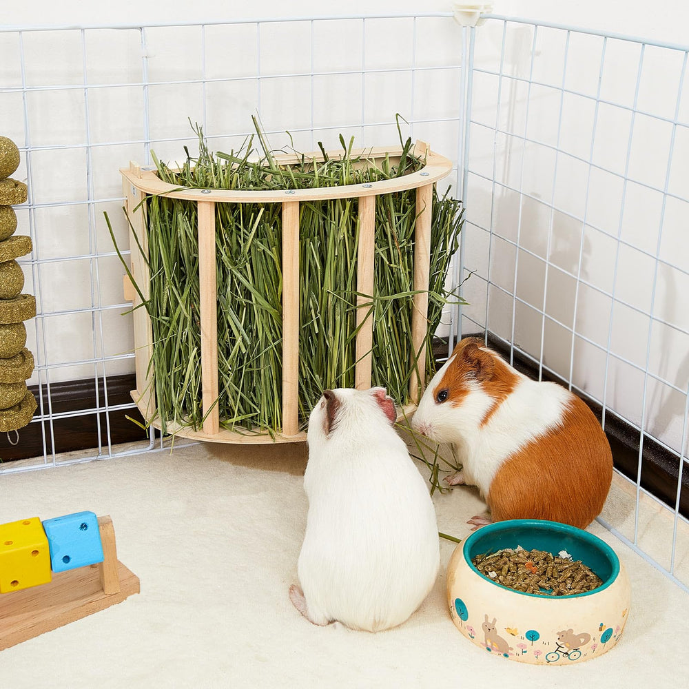 Unicorn Catcher small-pet hay feeder suitable for guinea pigs.