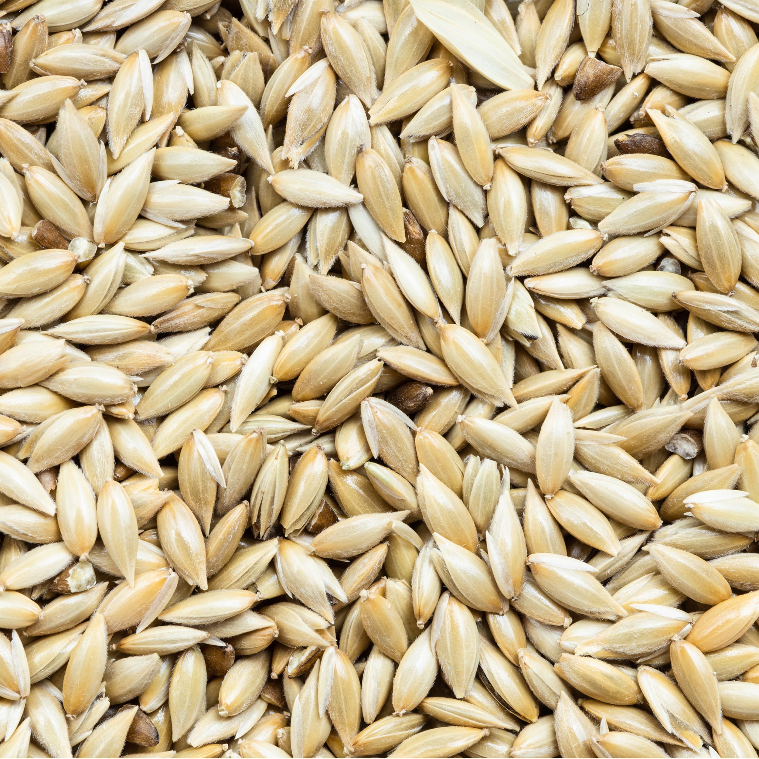 Unida bird seed close-up texture emphasizes freshness and quality.