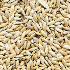 Unida bird seed close-up texture emphasizes freshness and quality.