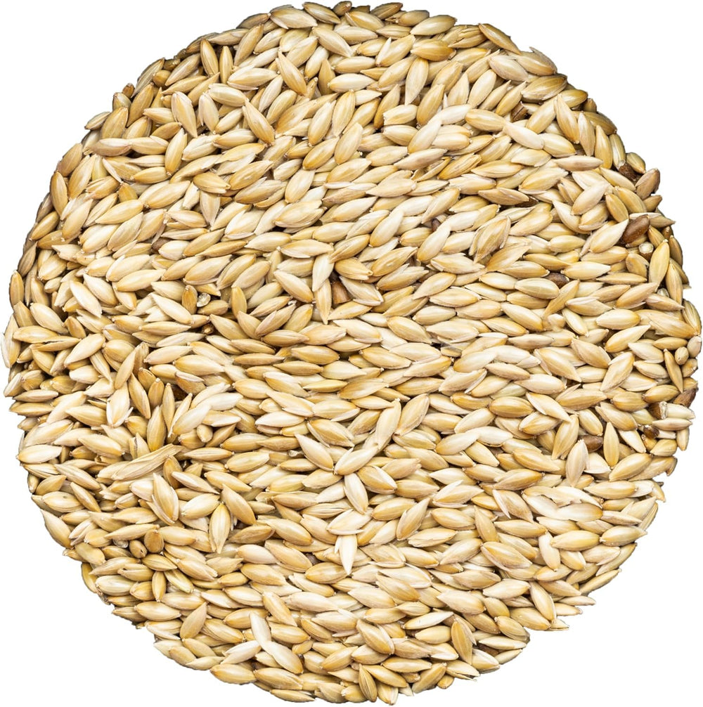 Unida canary seed bag front view, ideal for daily feeding.