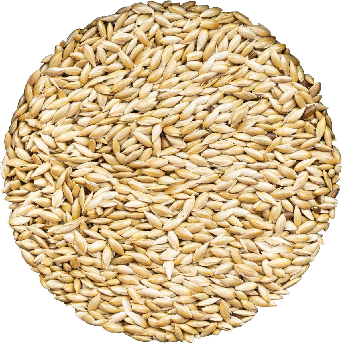 Unida canary seed bag front view, ideal for daily feeding.