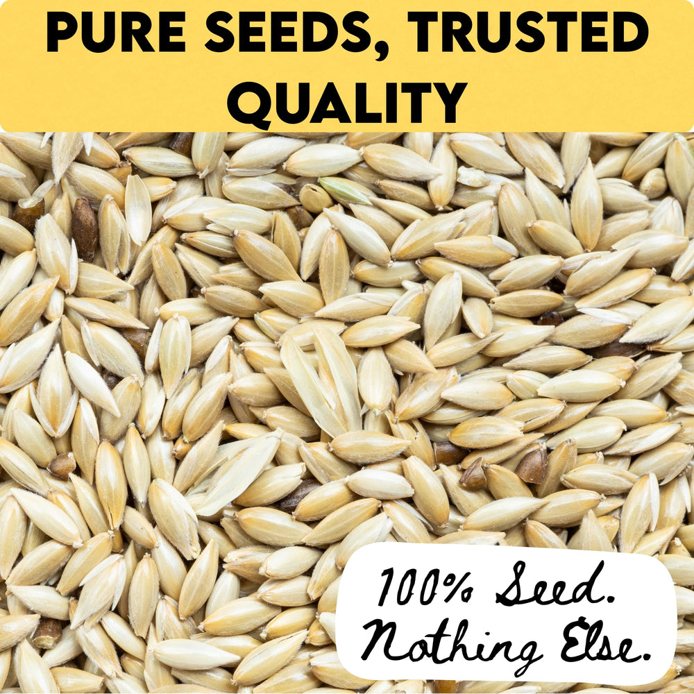 Unida canary seed bag seal preserving freshness for active birds.
