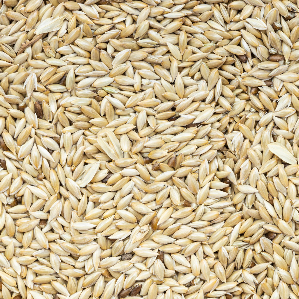 Unida canary seed bowl serving image highlights balanced nutrition for canaries.