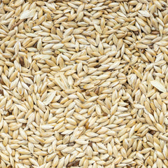 Unida canary seed bowl serving image highlights balanced nutrition for canaries.