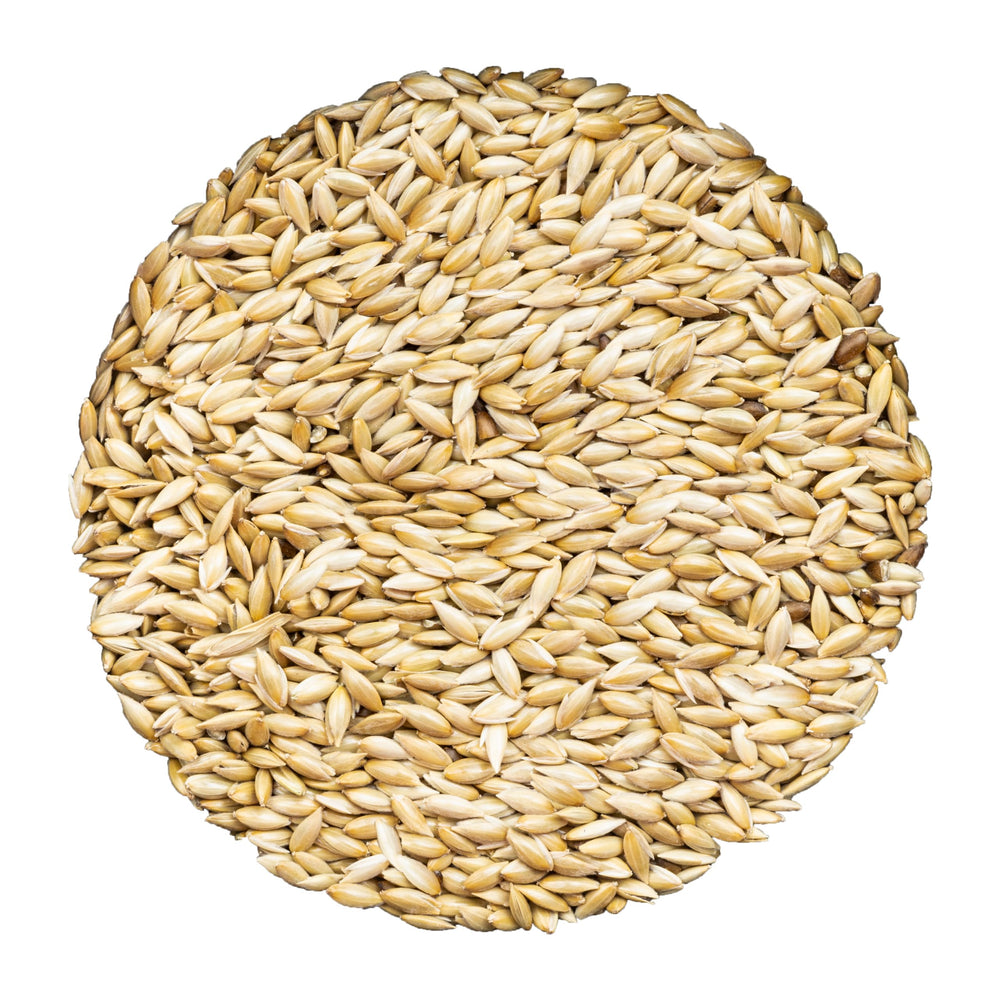 Unida canary seed bulk bag displaying pure, additive-free nutrition for small birds.