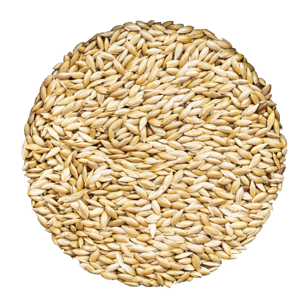 Unida canary seed bulk bag displaying pure, additive-free nutrition for small birds.
