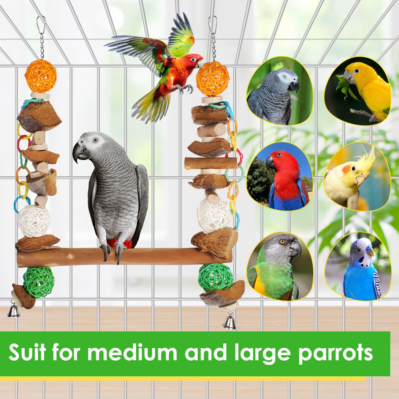 Unimaxlink rhododendron wood frame perches offer sturdy resting spots.