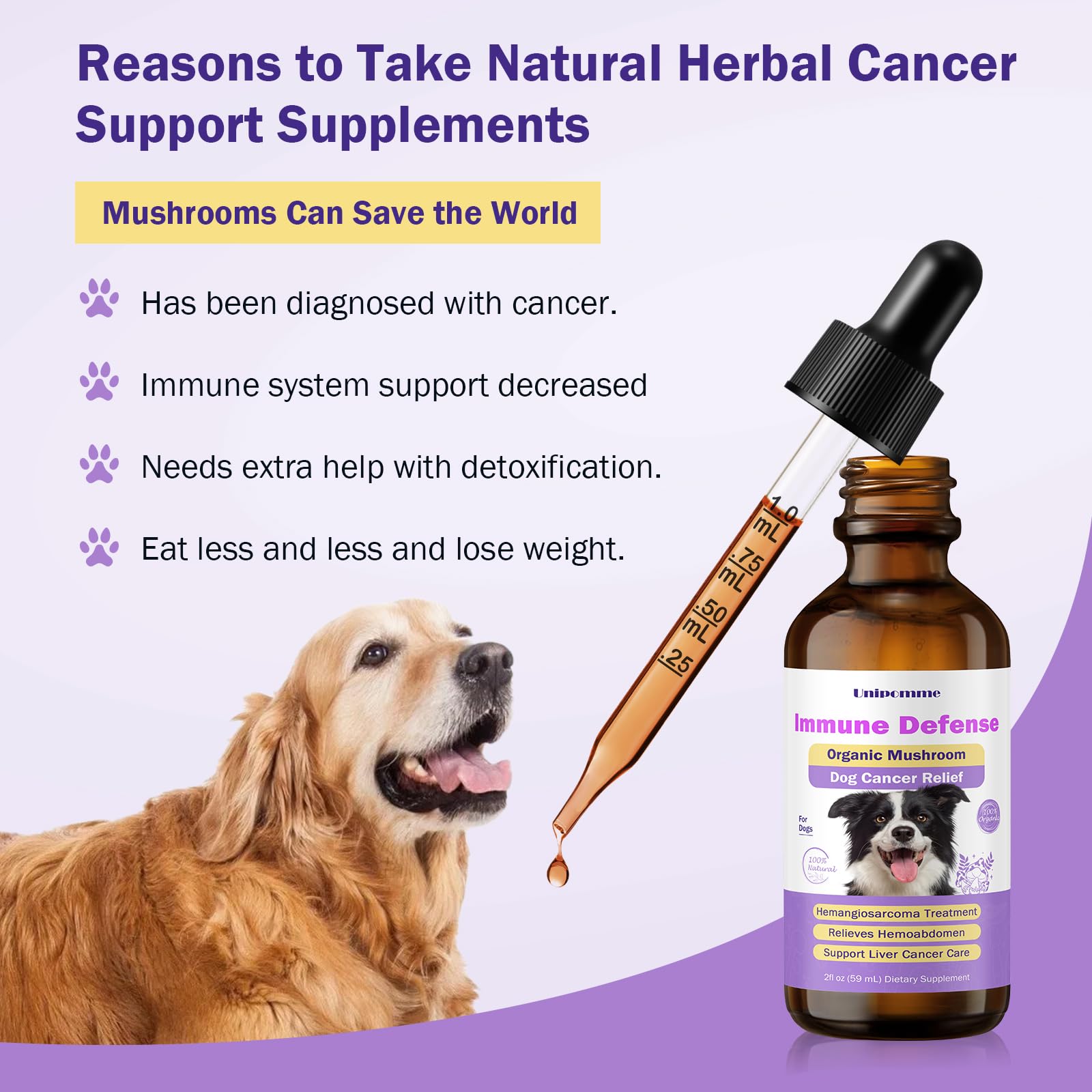 Unipomme dog coat shine improvement after supplement use.