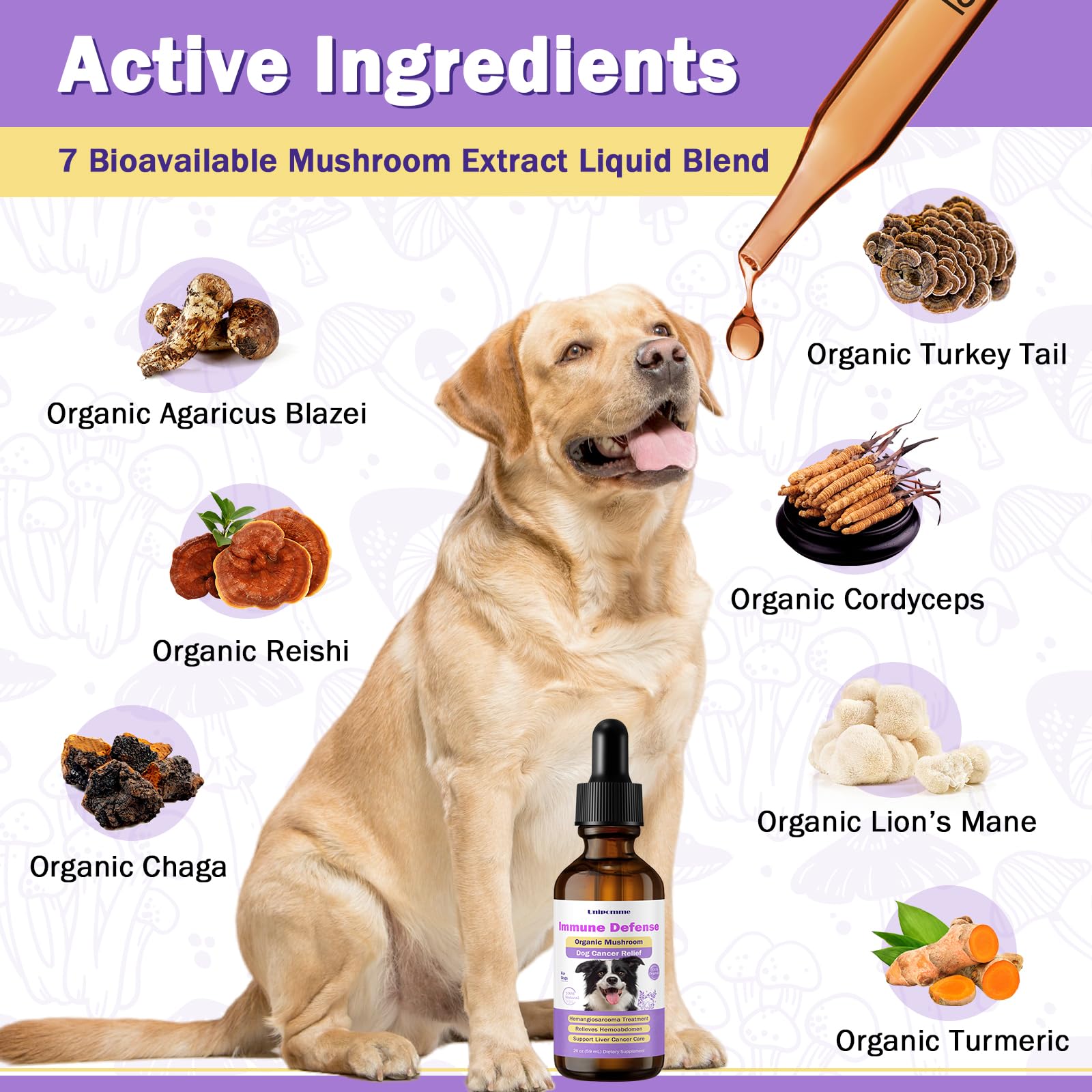 Unipomme liquid dosing for dogs, easy administration shown.