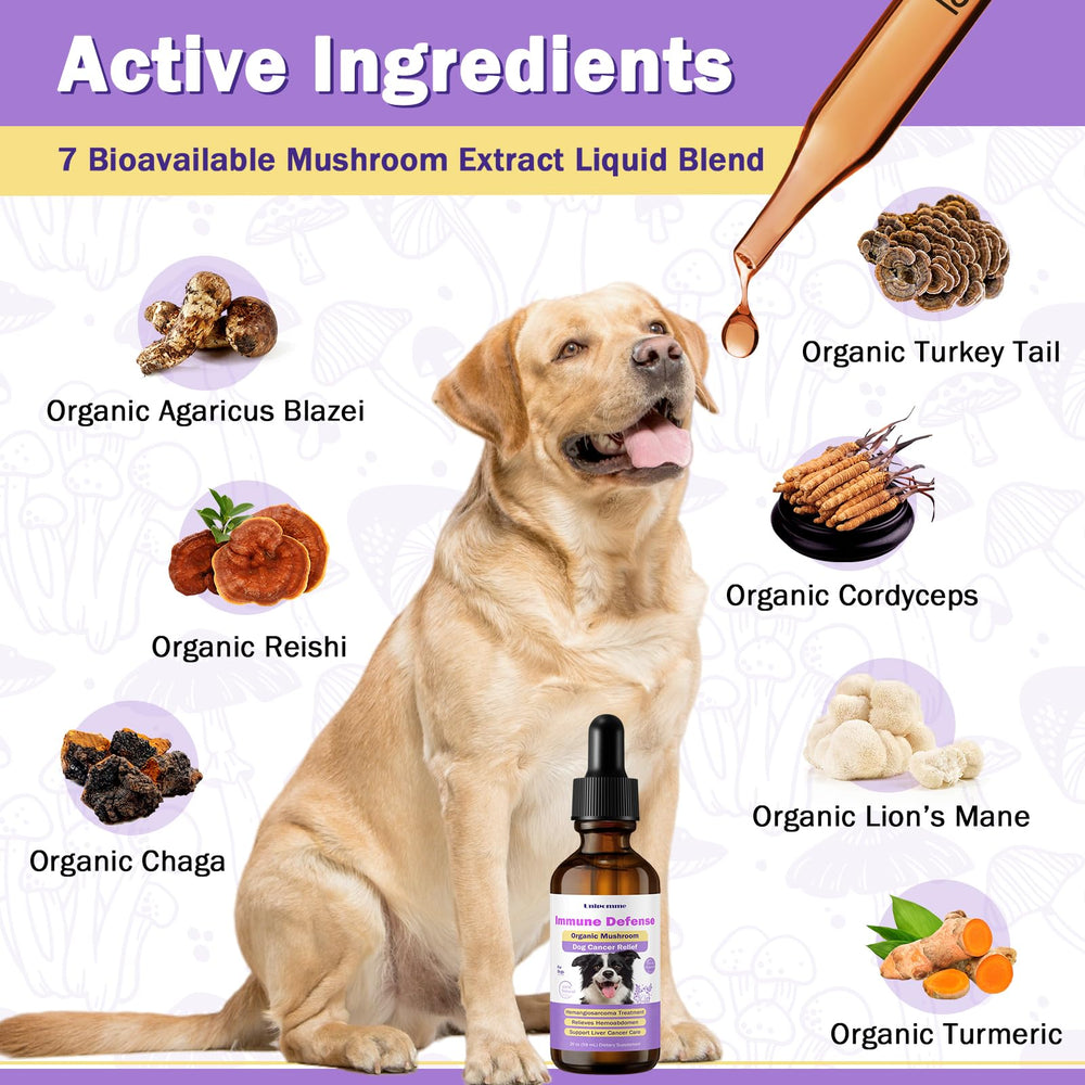 Unipomme liquid dosing for dogs, easy administration shown.