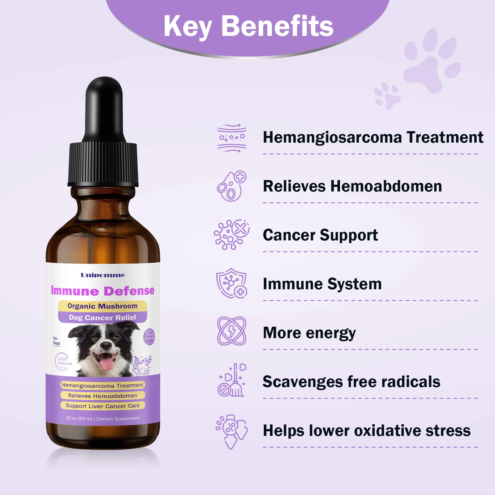 Unipomme turmeric dog ingredient close-up emphasizing antioxidant support.