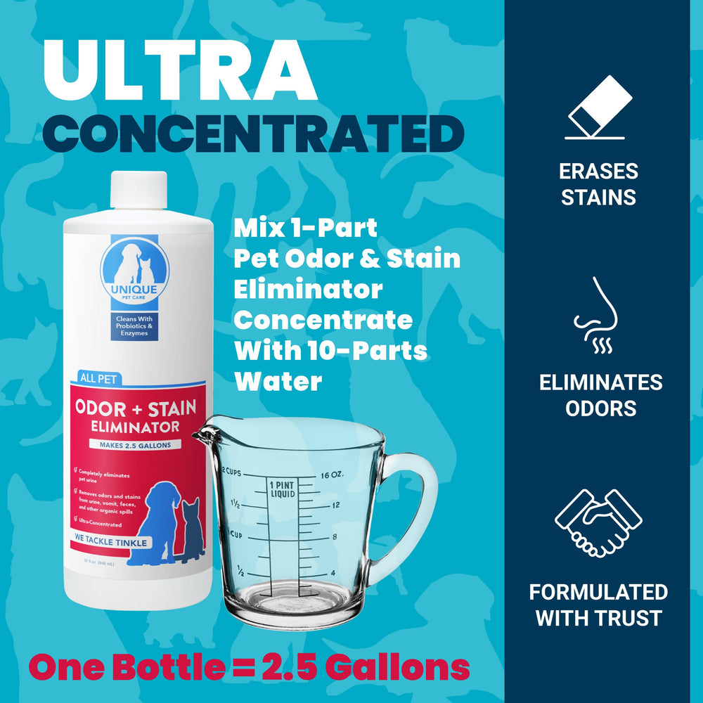 Unique carpet and upholstery stain remover restores fabrics with a fresh, clean feel.