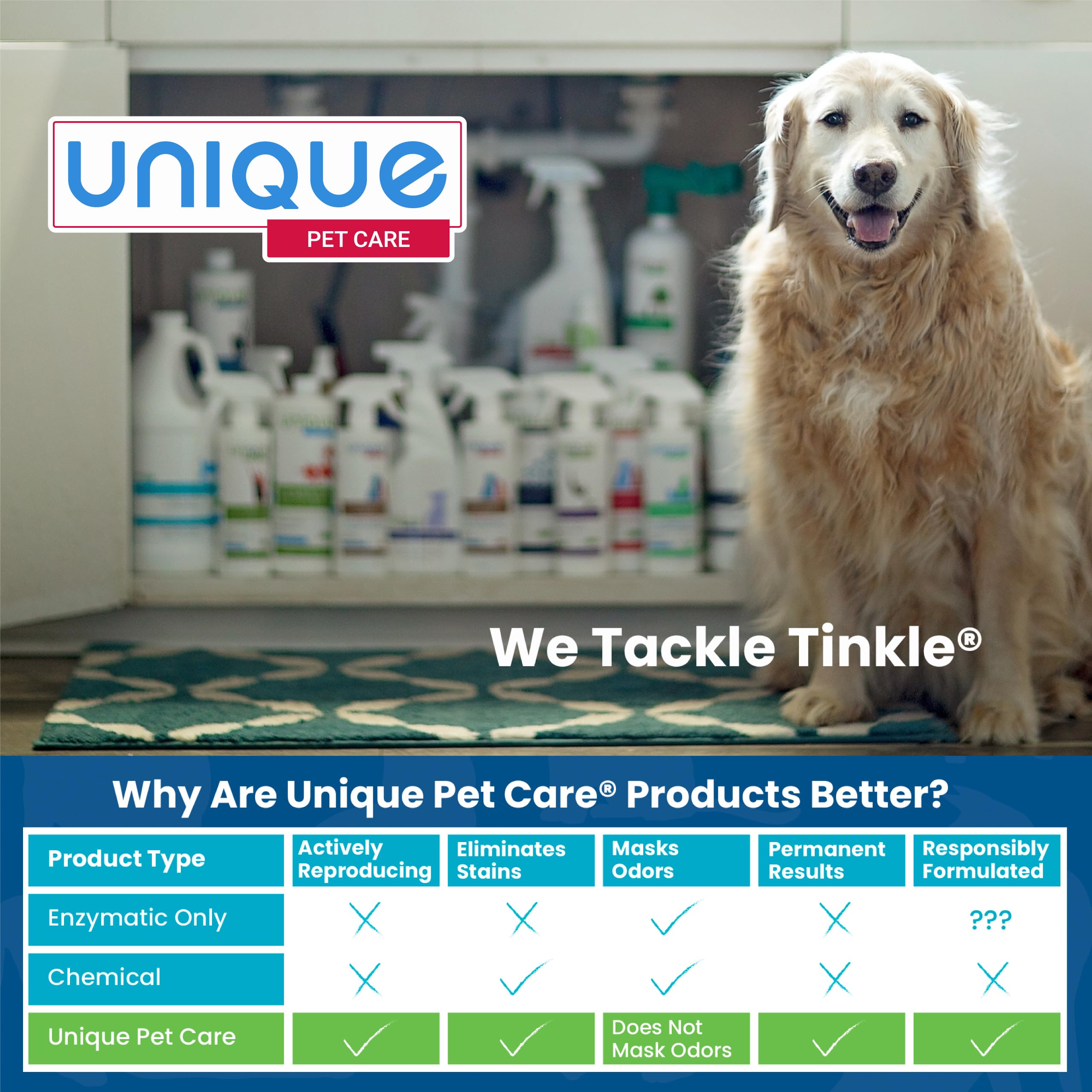 Unique kennel and pet bed cleaner keeps kennels pristine for calmer pets.