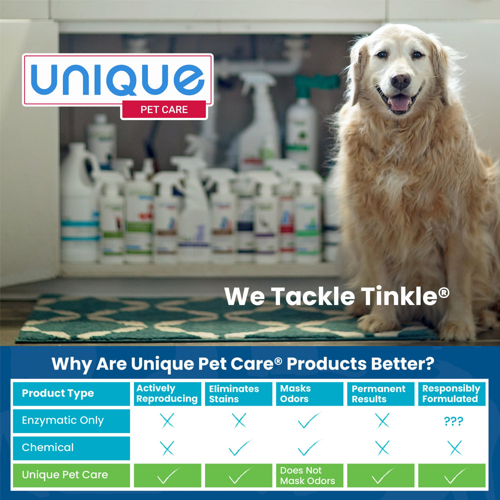 Unique kennel and pet bed cleaner keeps kennels pristine for calmer pets.