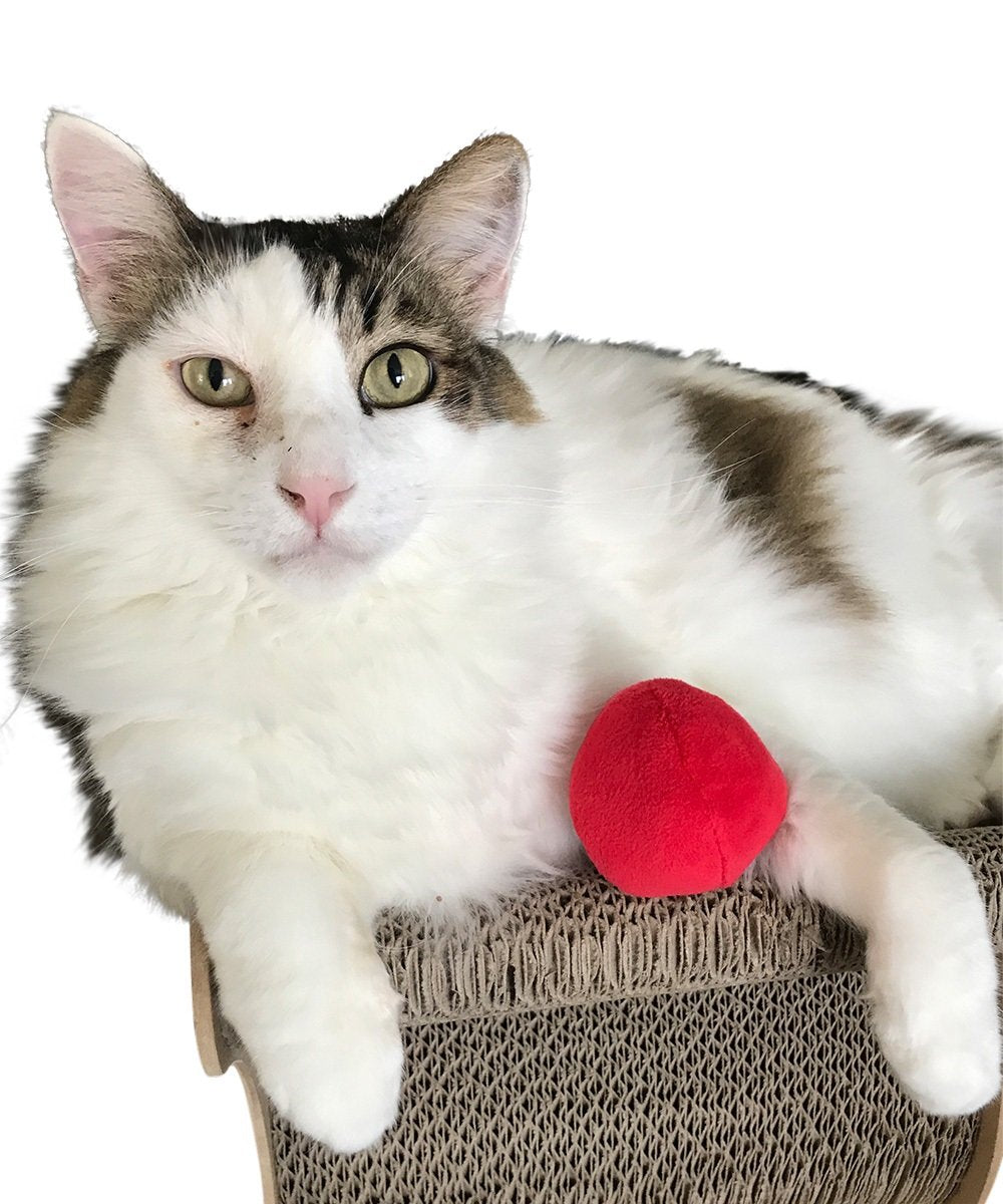 Unique Pet Products machine-washable squeaky ball for easy cleanup