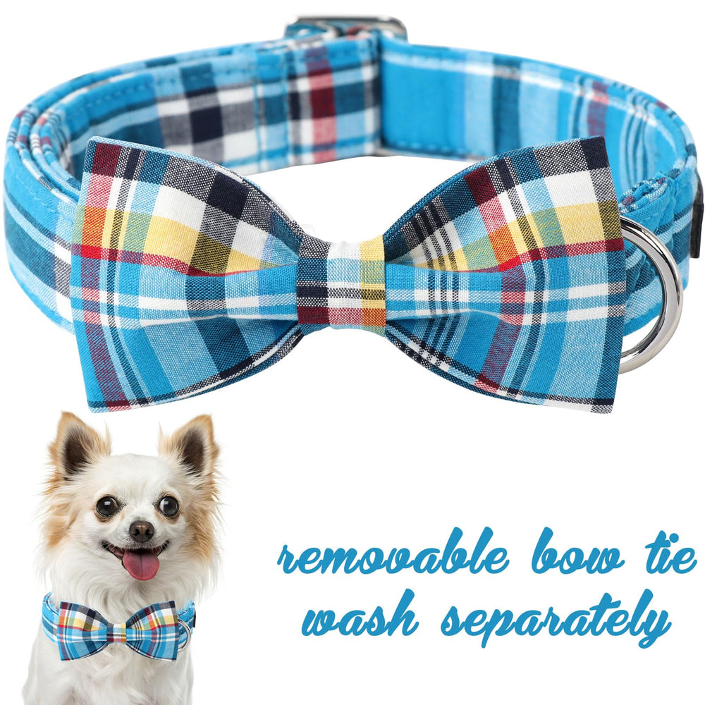 Unique Style Paws adjustable collar with bow attachment for a secure fit