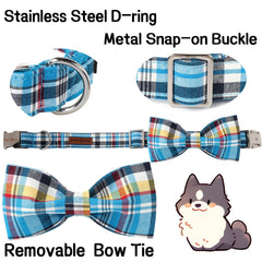 Unique Style Paws cotton collar material offers soft skin friendly wear