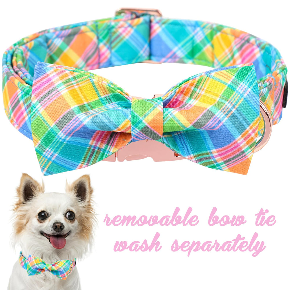 Unique Style Paws adjustable buckle on Easter collar for growing dogs